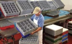 Gastronoble Cambro Gläserspülkorb Beige Mit 25 Fächern Max Glashöhe 9,2cm -Siemens-Shop f98870da 1267 4650 af9a 3edd27d9f404 3